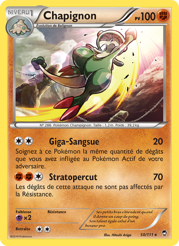Chapignon 50 — Furious Fists (French Pokémon TCG card)