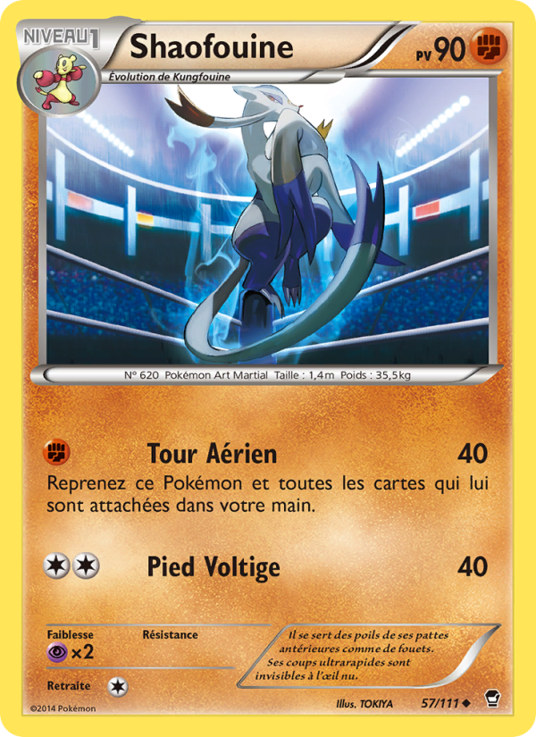 Shaofouine 57 — Furious Fists (French Pokémon TCG card)