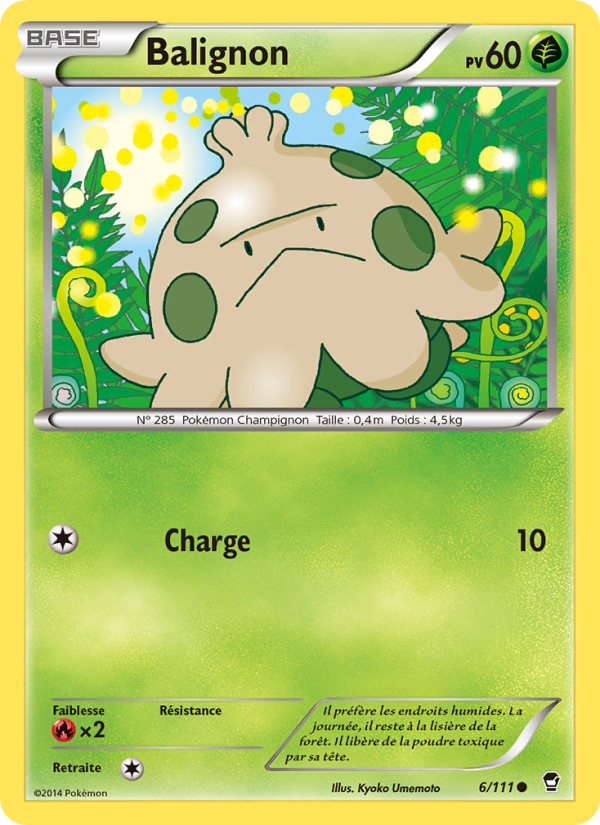 Balignon 6 — Furious Fists (French Pokémon TCG card)