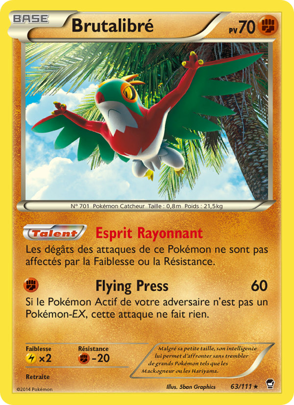 Brutalibré 63 — Furious Fists (French Pokémon TCG card)