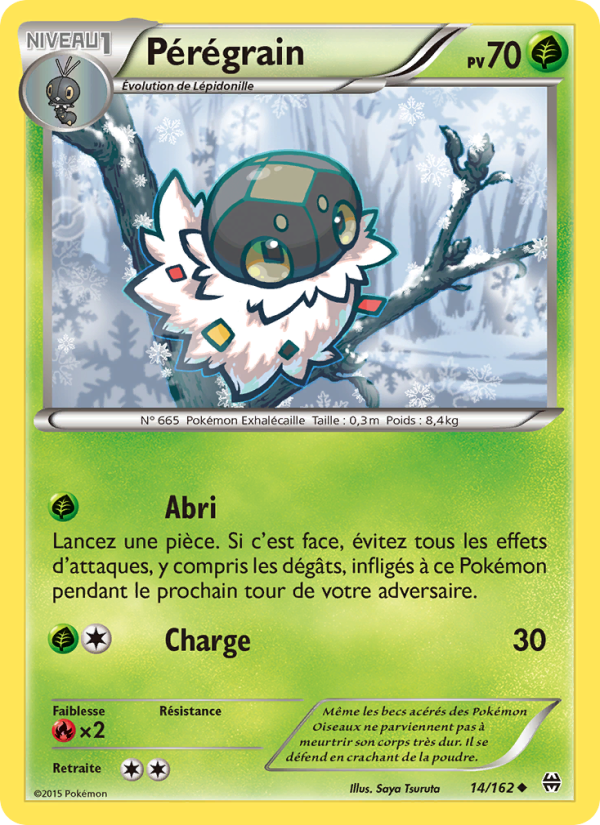 Pérégrain 14 — BREAKthrough (French Pokémon TCG card)
