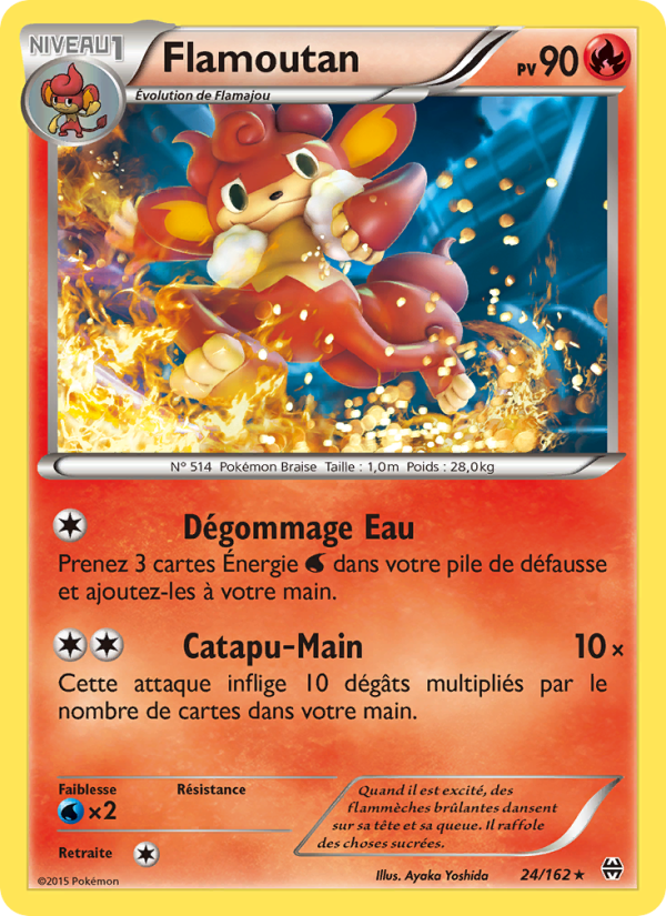 Flamoutan 24 — BREAKthrough (French Pokémon TCG card)