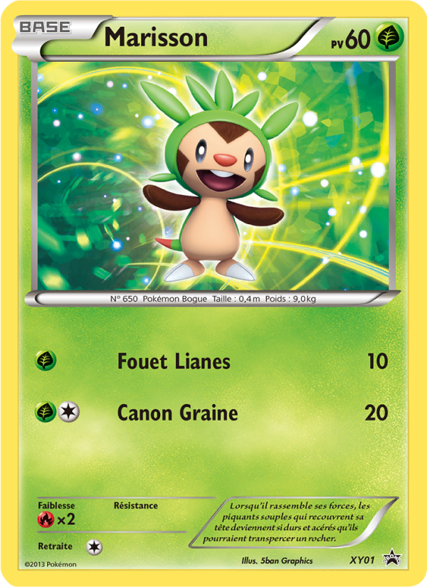 Extension XY Promos