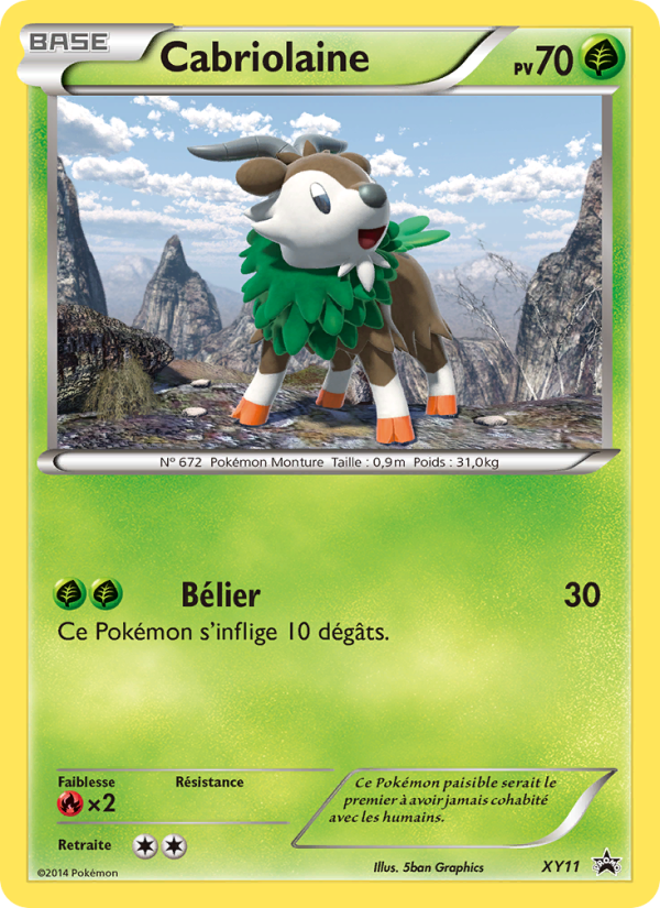 Cabriolaine XY11 — XY Promos (French Pokémon TCG card)