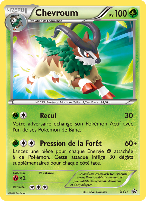 Chevroum XY16 — XY Promos (French Pokémon TCG card)