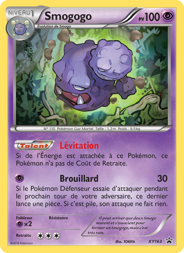 Smogogo XY163 — XY Promos (French Pokémon TCG card)