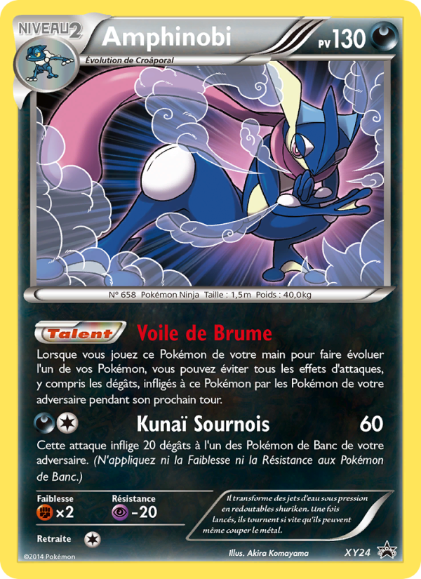 Amphinobi XY24 — XY Promos (French Pokémon TCG card)