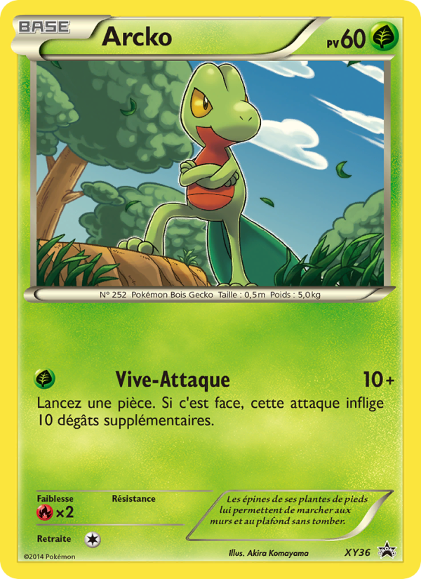 Arcko XY36 — XY Promos (French Pokémon TCG card)