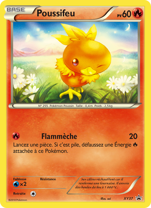Poussifeu XY37 — XY Promos (French Pokémon TCG card)