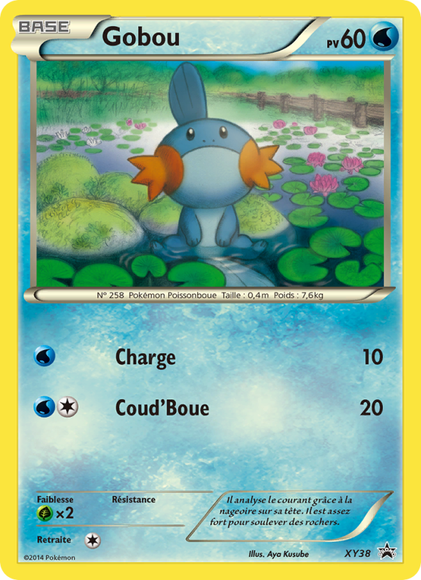 Gobou XY38 — XY Promos (French Pokémon TCG card)
