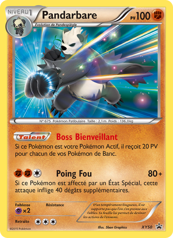 Pandarbare XY50 — XY Promos (French Pokémon TCG card)
