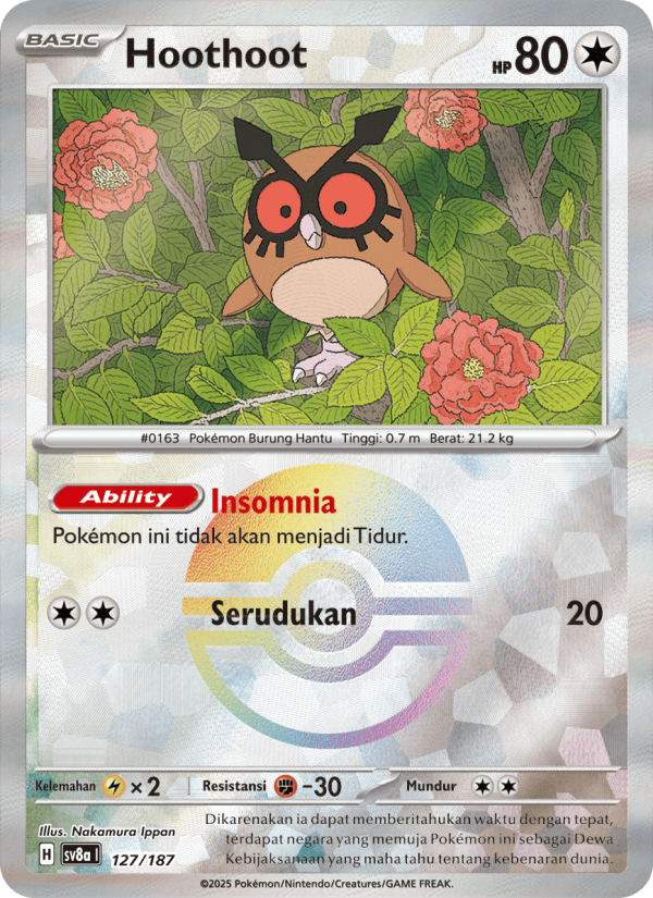 Hoothoot 127 — Festival Terastal ex (Indonesian Pokémon TCG card)