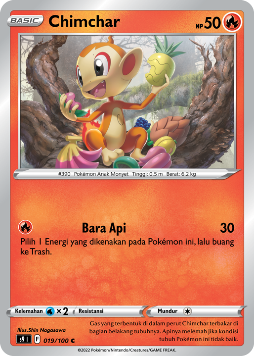 Chimchar 019/100 — Star Birth (Indonesian Pokémon TCG card)