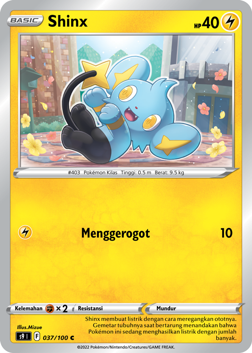 Shinx 037/100 — Star Birth (Indonesian Pokémon TCG card)