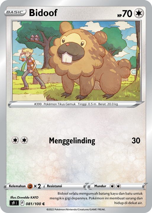 Bidoof 081/100 — Star Birth (Indonesian Pokémon TCG card)