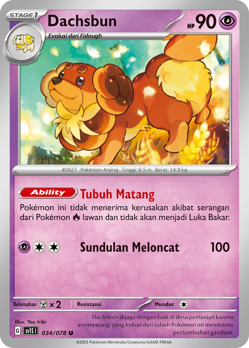 Dachsbun 034 — Scarlet ex (Indonesian Pokémon TCG card)