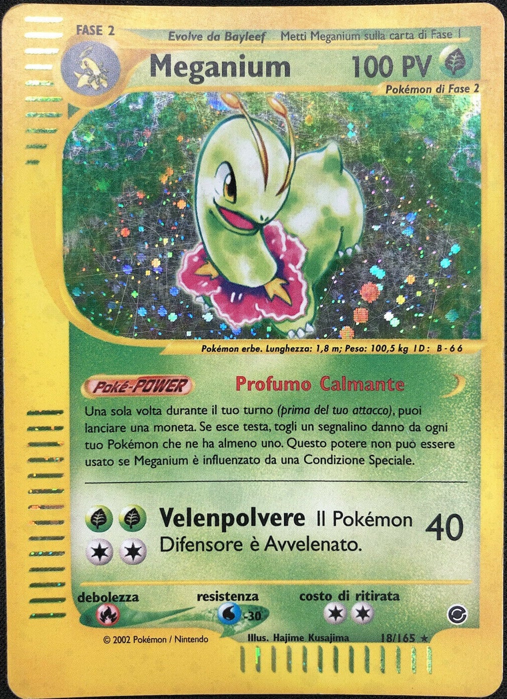 Meganium 054 — Expedition Set Base (Italian Pokémon TCG card)