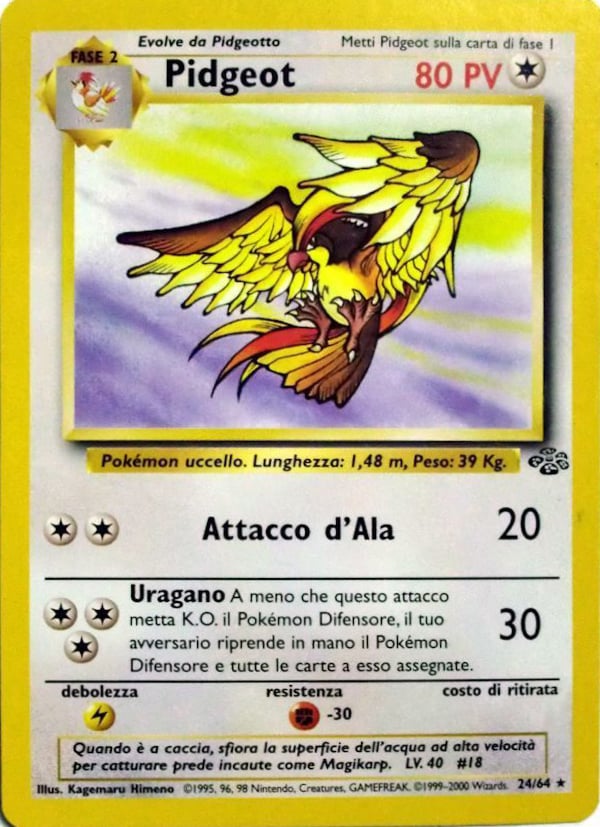 Pidgeot 008 — Jungle (Italian Pokémon TCG card)