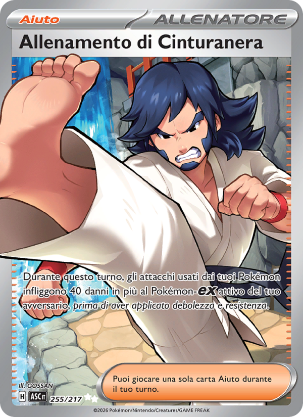 Allenamento di Cinturanera 255/217 — Ascesa Eroica (Italian Pokémon TCG card)