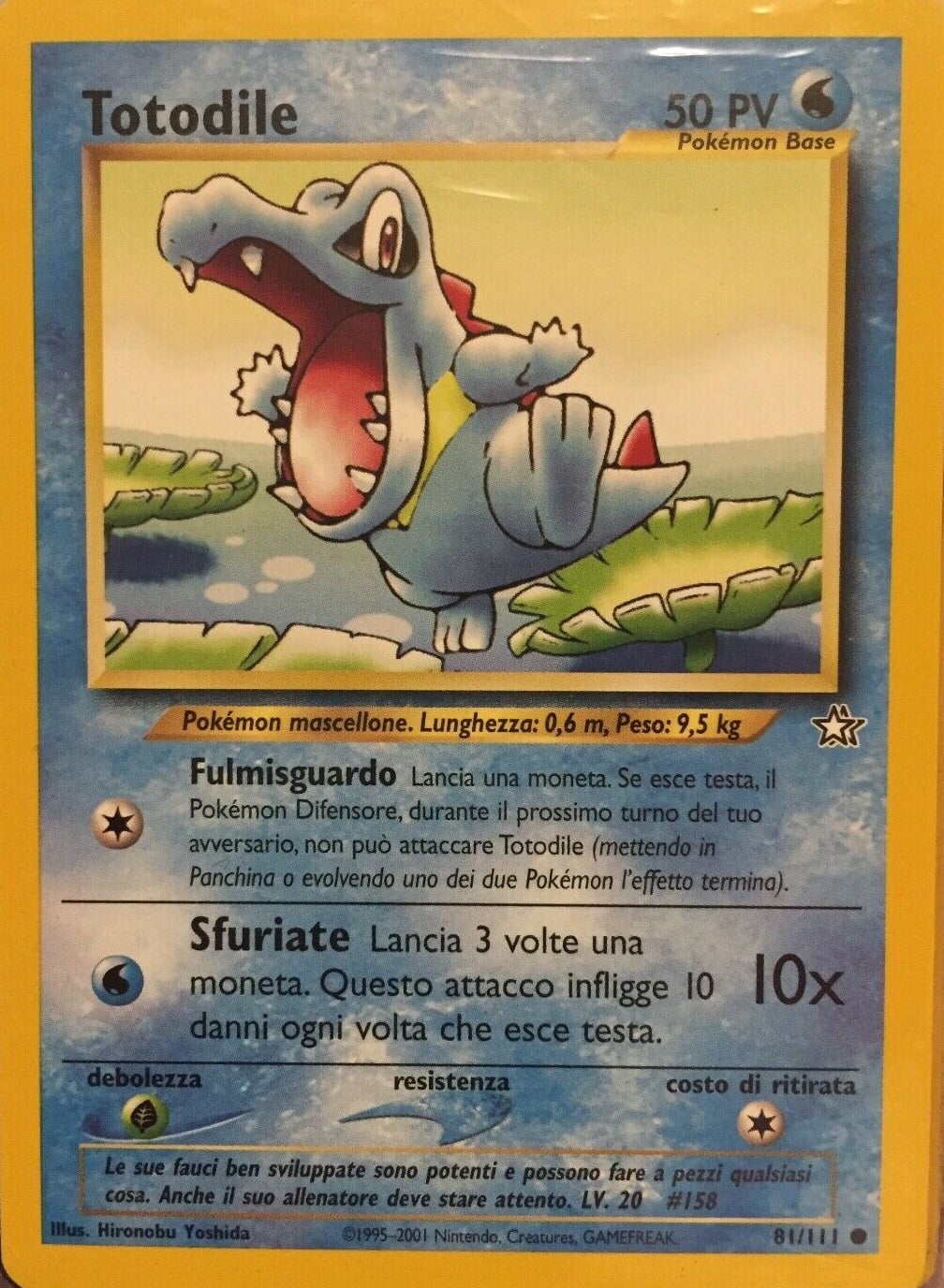 Totodile 081 — Neo Genesis (Italian Pokémon TCG card)