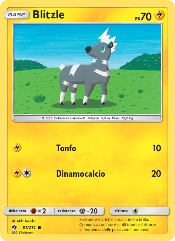 Blitzle 081/236 — Lost Thunder (Italian Pokémon TCG card)