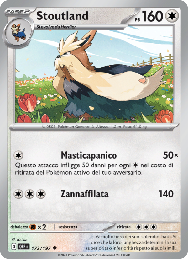 Stoutland 172/230 — Obsidian Flames (Italian Pokémon TCG card)
