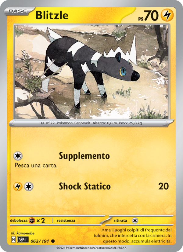 Blitzle 062/252 — Surging Sparks (Italian Pokémon TCG card)