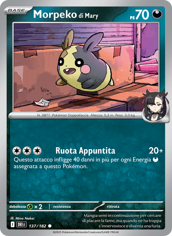 Morpeko di Mary 137/244 — Destined Rivals (Italian Pokémon TCG card)