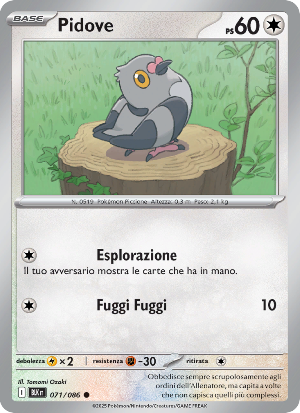 Pidove 071/172 — Black Bolt (Italian Pokémon TCG card)
