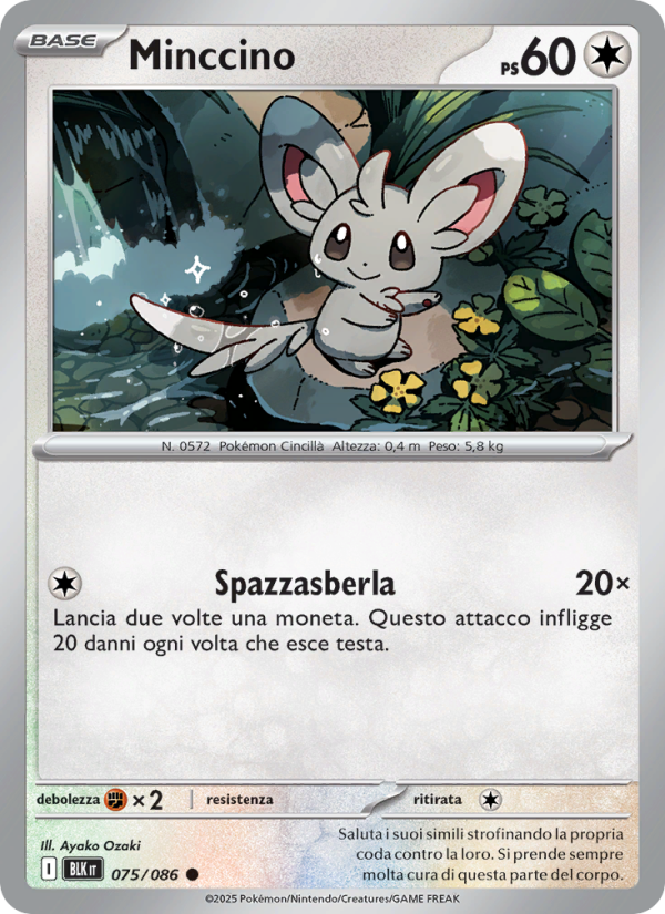Minccino 075/172 — Black Bolt (Italian Pokémon TCG card)