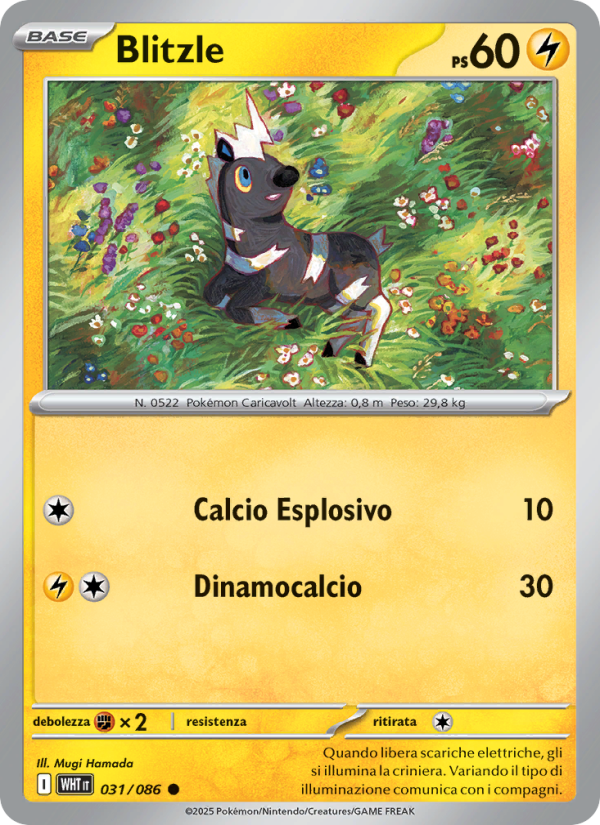 Blitzle 031/173 — Fuoco Bianco (Italian Pokémon TCG card)
