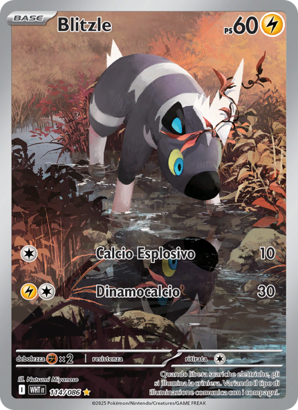 Blitzle 114/173 — Fuoco Bianco (Italian Pokémon TCG card)