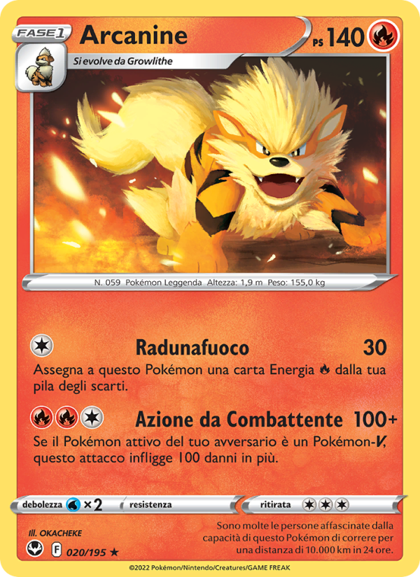 Arcanine 020/245 — Silver Tempest (Italian Pokémon TCG card)
