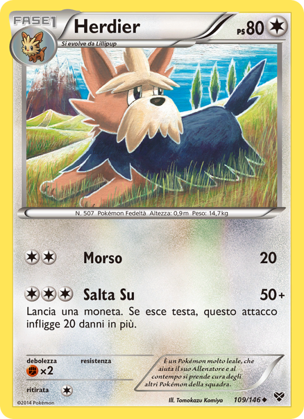 Herdier 109/146 — XY (Italian Pokémon TCG card)