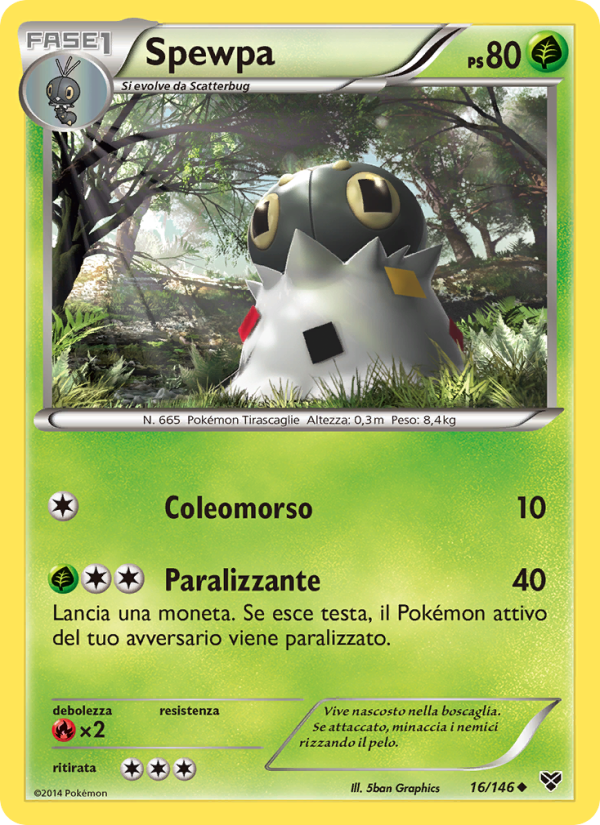 Spewpa 016/146 — XY (Italian Pokémon TCG card)