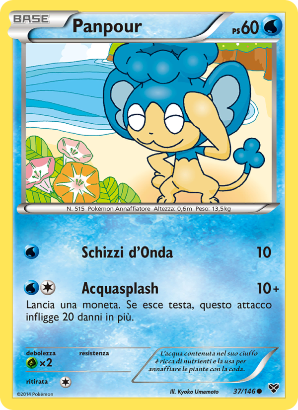 Panpour 037/146 — XY (Italian Pokémon TCG card)