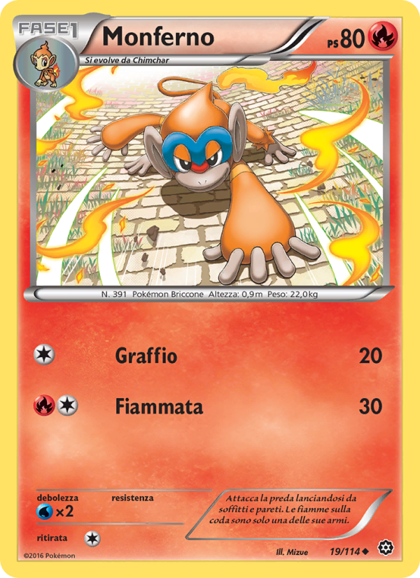 Monferno 019/116 — Steam Siege (Italian Pokémon TCG card)