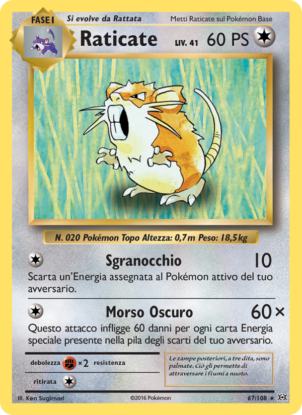 Raticate 067/113 — Evolutions (Italian Pokémon TCG card)