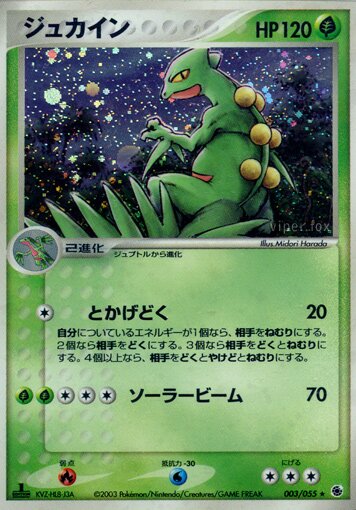 Sceptile 003/55 — ADV Expansion Pack (Japanese Pokémon TCG card)