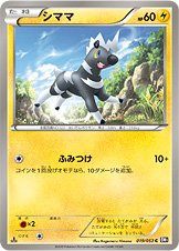 Blitzle 019/56 — Black Collection (Japanese Pokémon TCG card)