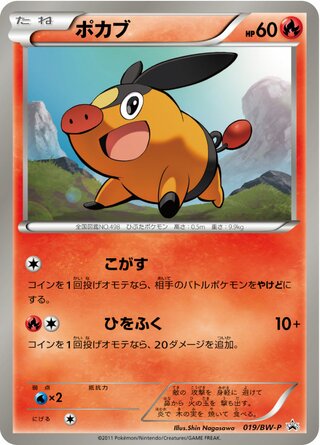 Tepig 019/236 — Black & White Promos (Japanese Pokémon TCG card)