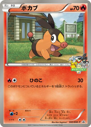 Tepig 043/236 — Black & White Promos (Japanese Pokémon TCG card)