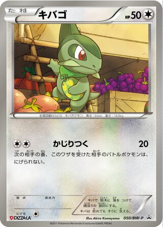 Axew 050/236 — Black & White Promos (Japanese Pokémon TCG card)
