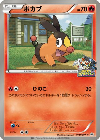 Tepig 079/236 — Black & White Promos (Japanese Pokémon TCG card)