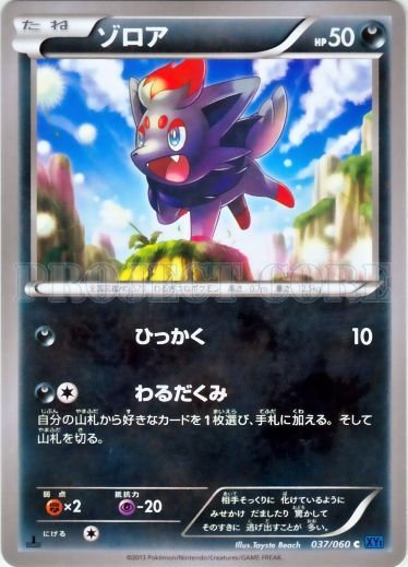 Zorua 037/63 — Collection X (Japanese Pokémon TCG card)