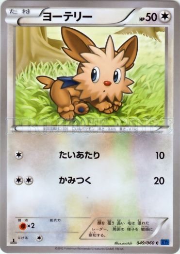 Lillipup 049/63 — Collection X (Japanese Pokémon TCG card)