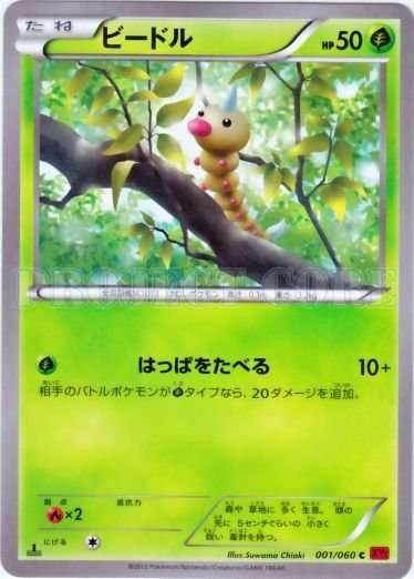 Collection Y expansion