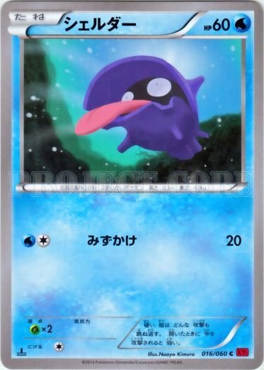 Shellder 016/63 — Collection Y (Japanese Pokémon TCG card)