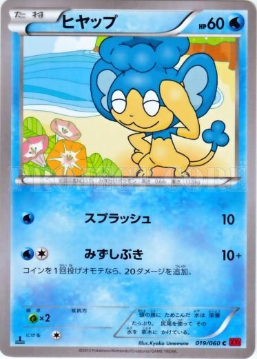 Panpour 019/63 — Collection Y (Japanese Pokémon TCG card)