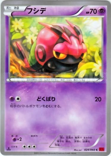 Venipede 024/63 — Collection Y (Japanese Pokémon TCG card)